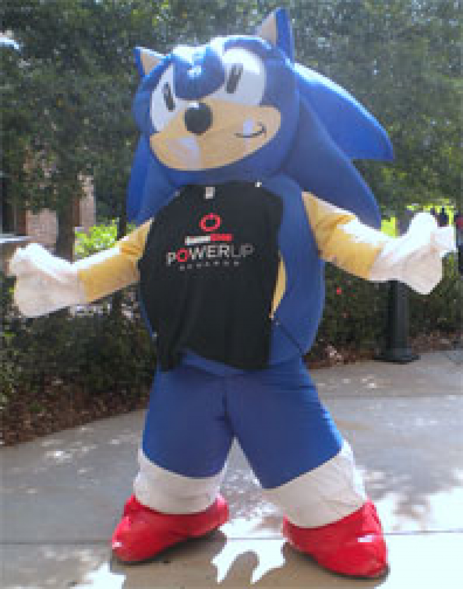 Unique Sonic Mascot Suit