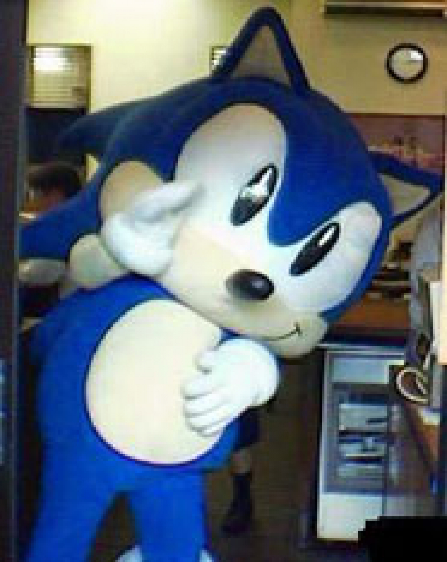 Classic Sonic Costume